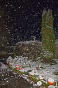 2017 11 30 première neige 2