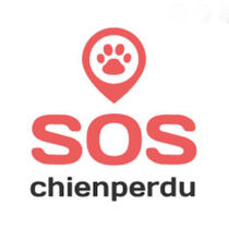 Chien perdu 2021 11 20 