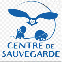 Faune sauvage Centre Sauvegarde 2022 07 19 