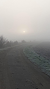 2023 02 20 Brouillard a