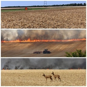 2023 07 07 Feu St Jean Risques