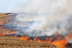 Incendie de céréales a 2023 07 31 