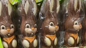 Lapins de Pâques a 2024 03 25 