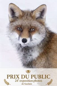 2026 02 11 Concours photo