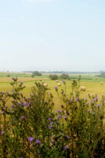 Dsc 1268