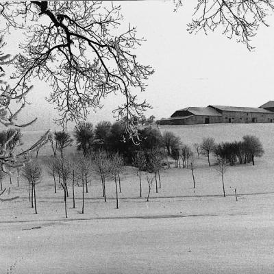 Ferme Du Sart Aa 1970 5